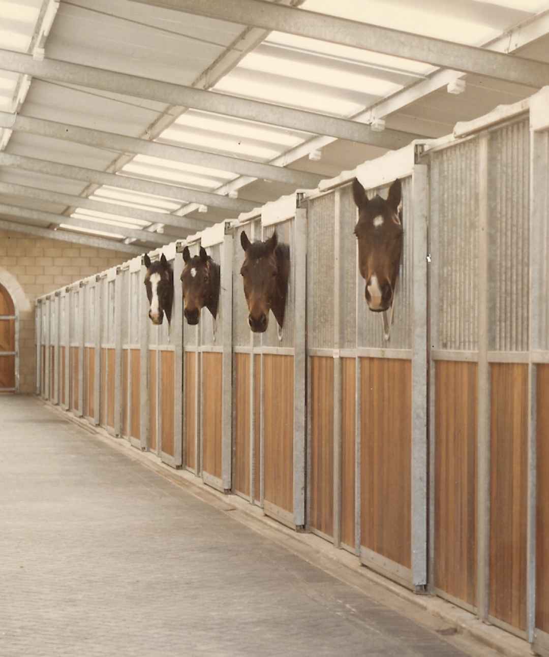 Horses looking out from the covered stable block